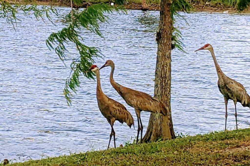 Port Saint Lucie A Little Piece Of Heaven- Peaceful Lake View Apartment- 1 Min From I95 And Turnpike Port St. Lucie 외부 사진
